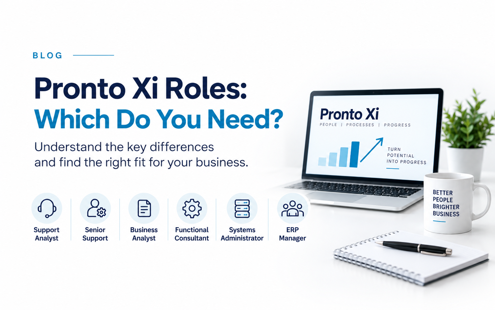 Pronto Xi Support Analyst, Business Analyst, Functional Consultant, Systems Administrator or ERP Manager: Who Do You Need?